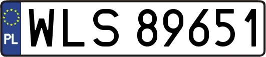 WLS89651