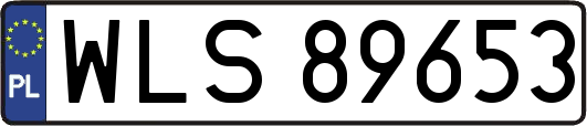 WLS89653