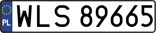WLS89665
