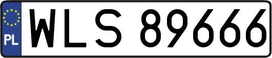 WLS89666