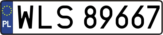 WLS89667