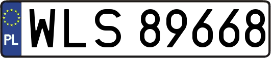 WLS89668