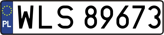 WLS89673