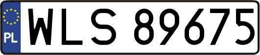 WLS89675