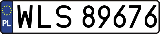 WLS89676