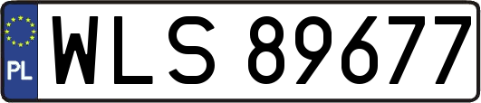 WLS89677