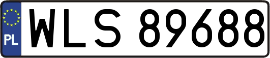 WLS89688