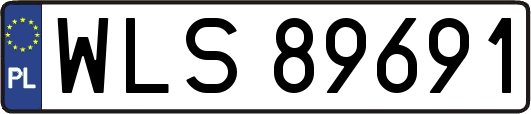 WLS89691