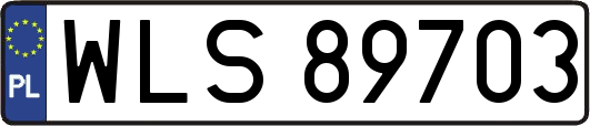 WLS89703