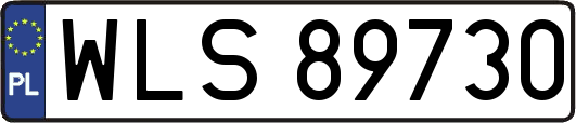 WLS89730