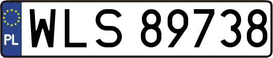 WLS89738