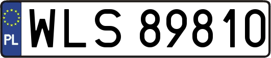 WLS89810