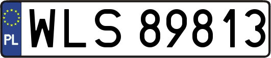 WLS89813