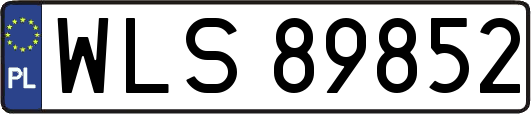 WLS89852