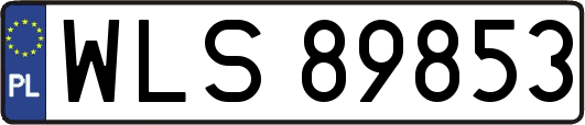 WLS89853