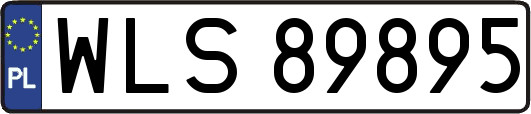 WLS89895
