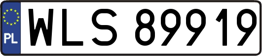 WLS89919