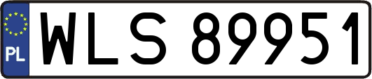 WLS89951