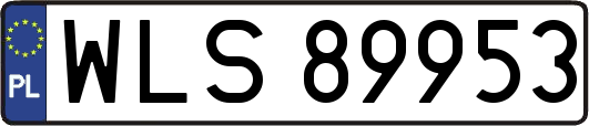 WLS89953