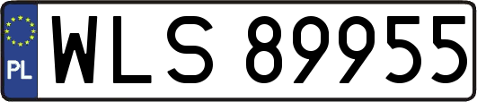 WLS89955