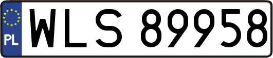 WLS89958