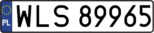 WLS89965