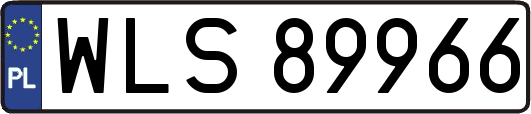 WLS89966