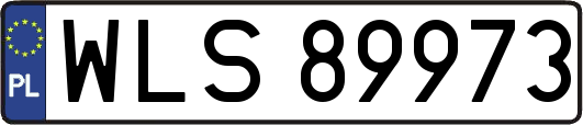 WLS89973