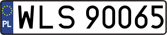 WLS90065