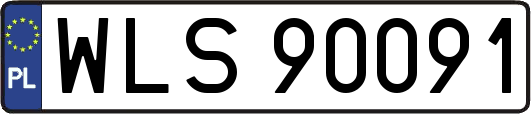 WLS90091