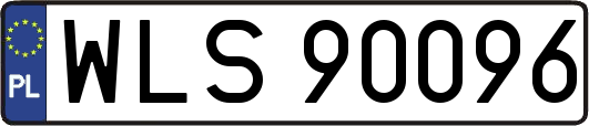 WLS90096