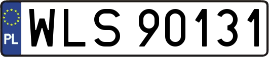 WLS90131