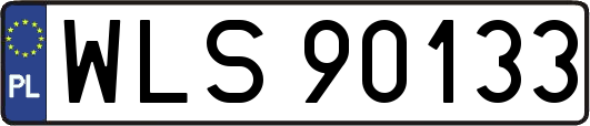 WLS90133