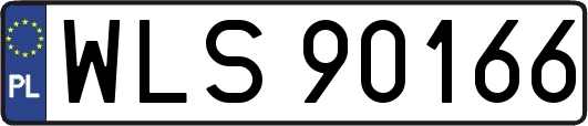 WLS90166