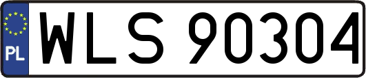 WLS90304