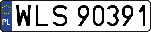 WLS90391