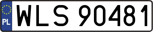 WLS90481