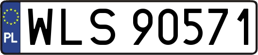 WLS90571
