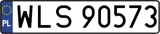 WLS90573