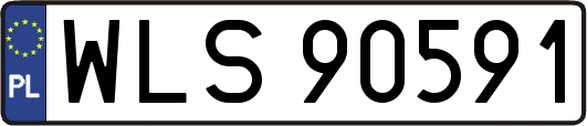 WLS90591