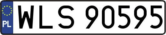 WLS90595