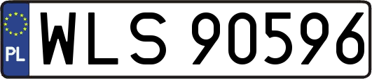 WLS90596