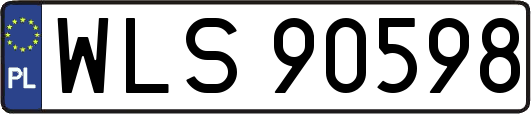 WLS90598