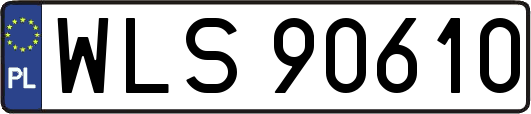 WLS90610