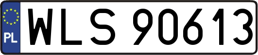 WLS90613