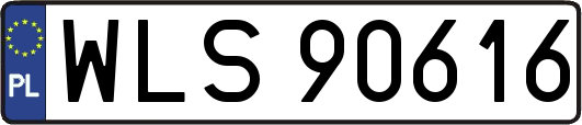 WLS90616