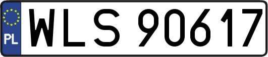 WLS90617