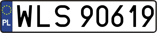 WLS90619