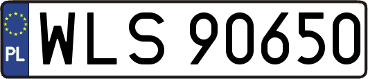 WLS90650