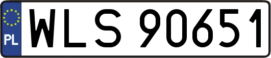 WLS90651